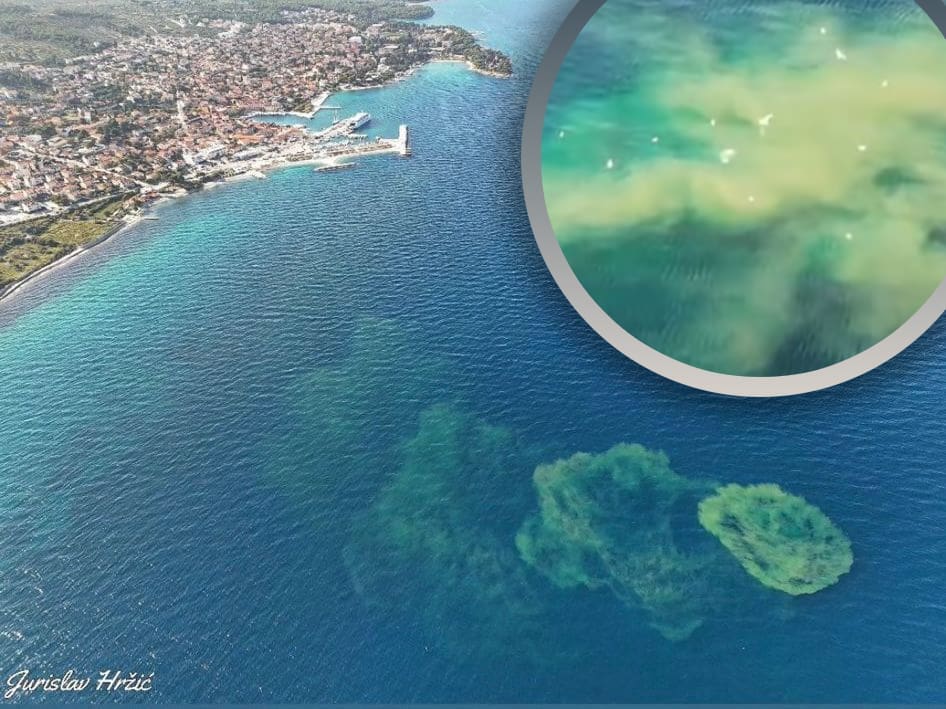 Otkriveno otkud ogromna mrlja u Bračkom kanalu, nikad ne bi pogodili o čemu se radi. Gradonačelnica Supetra: "Šokirana sam činjenicom..."