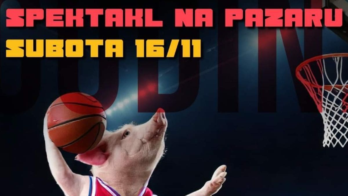 Epski dvoboj na stolu u Gudin Pigeriji: Sarma protiv Paprike