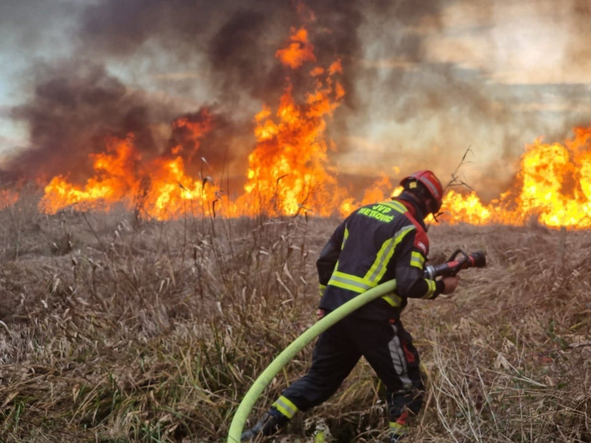 POŽAR KOD METKOVIĆA Vatrogasci se bore s vatrenom buktinjom
