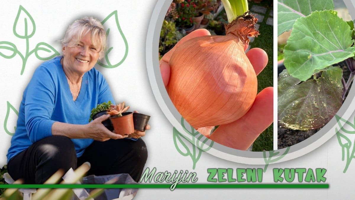 Zaboravite na komplicirana pravila: Vrtlarenje je jednostavnije nego što mislite