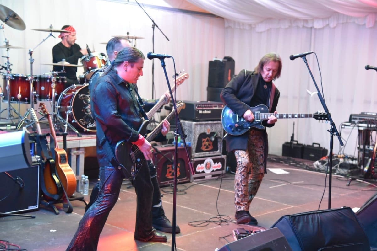 divlje jagode djurdja 31