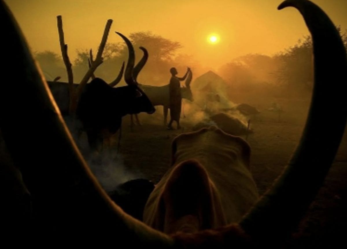 Splitski fotograf dobio još jedno vrijedno priznanje: "Moram biti ponosan!"