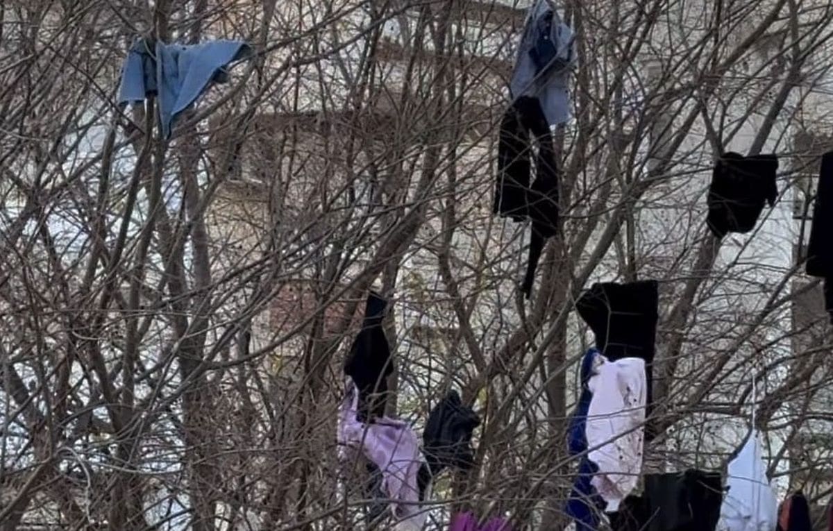 Božićni duh inspirirao Splićane: Evo kako je netko 'okitio' stablo u ulici