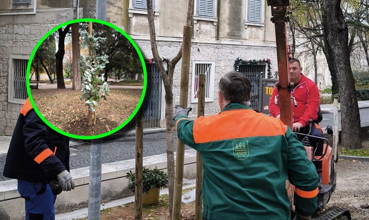 FOTO Đardin se krasi novim biljkama, svaka nova je pažljivo odabrana