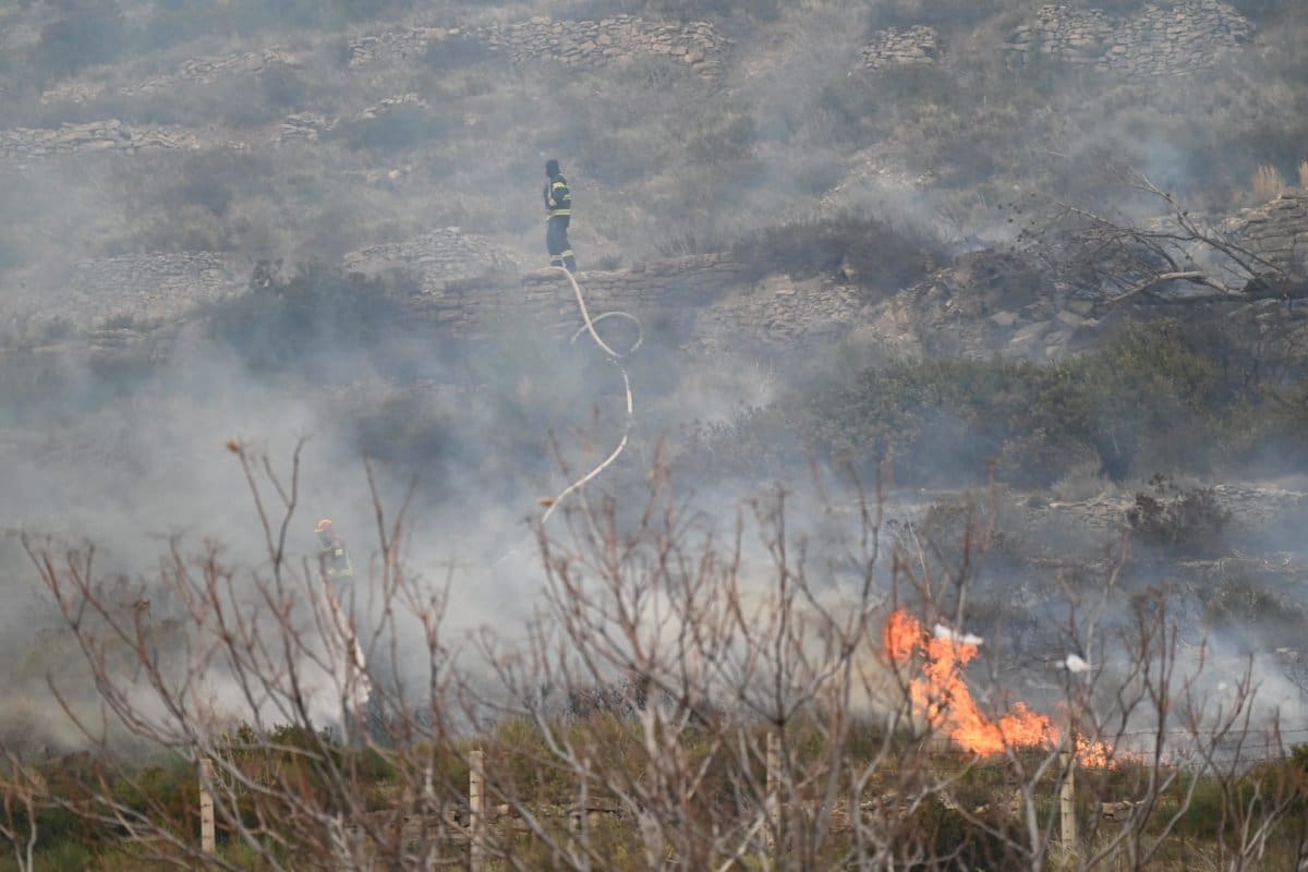 pozar zrnovnica foto rade popadic 29