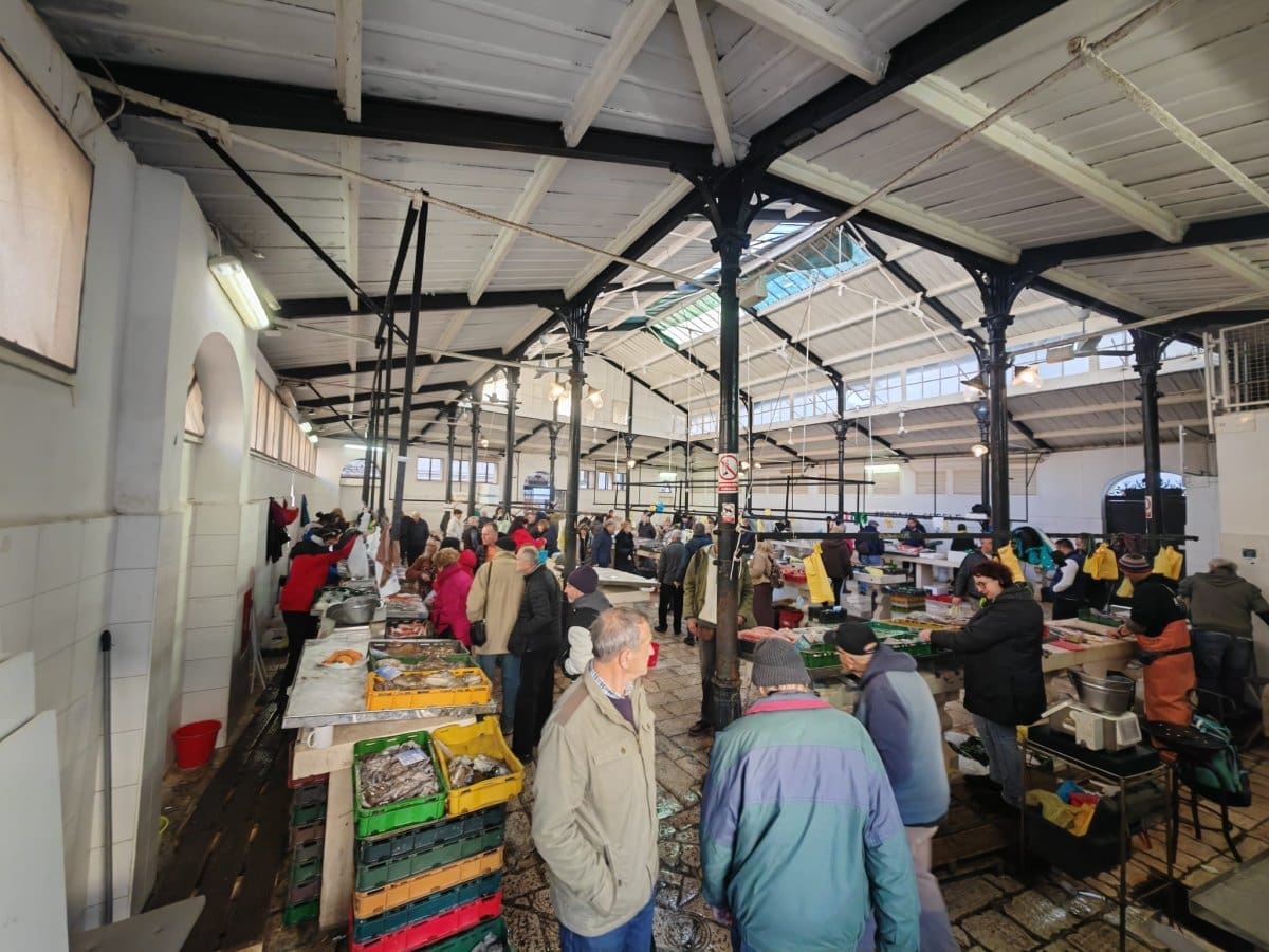 Ovo je najzdravija riba: Jača kosti, mozak i imunološki sustav