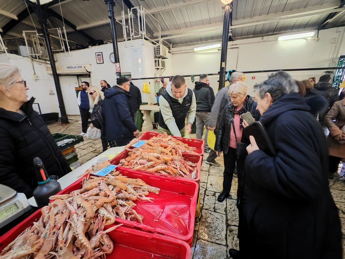 riba peskarija ribarnica 14