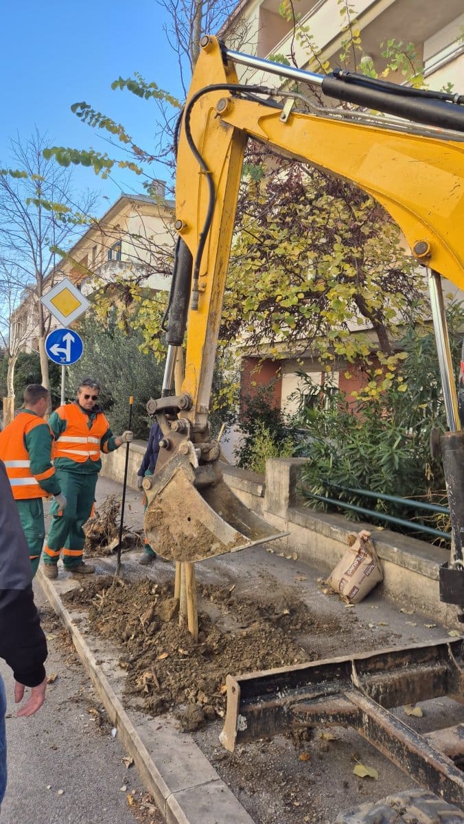 stabla matoseva spinut 8