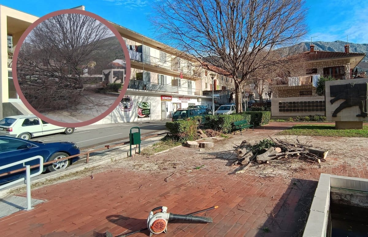 Bura je u četvrtak "nosila" i stabla u Žrnovnici. Danas se počelo sa saniranjem štete