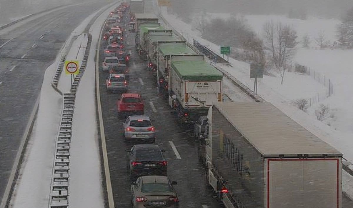 Ovako izgleda 'Dalmatina'