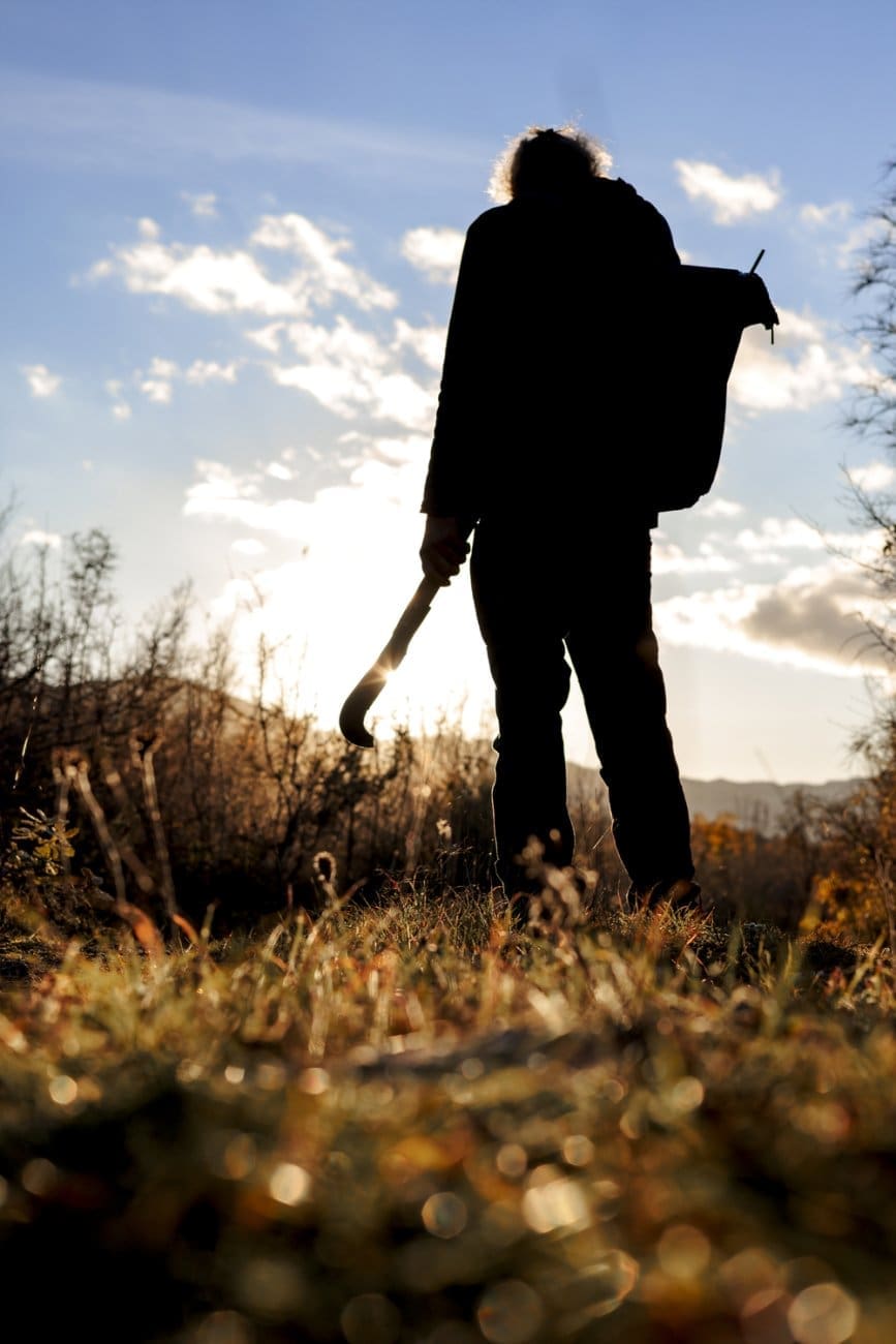 251124 pecat scadin lel 049