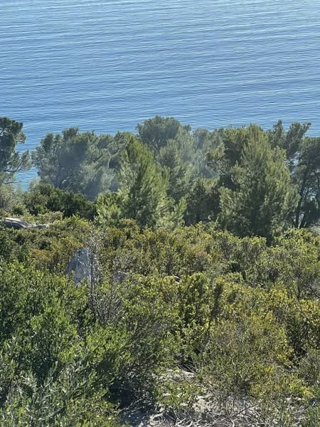 472015503 588968690547841 3519395425114754109 n