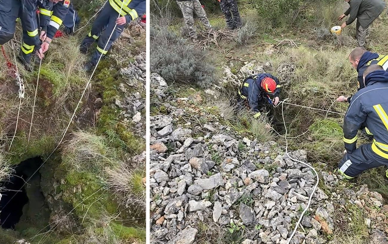 FOTO Hvarski vatrogasci spasili lovačkog psa Dona