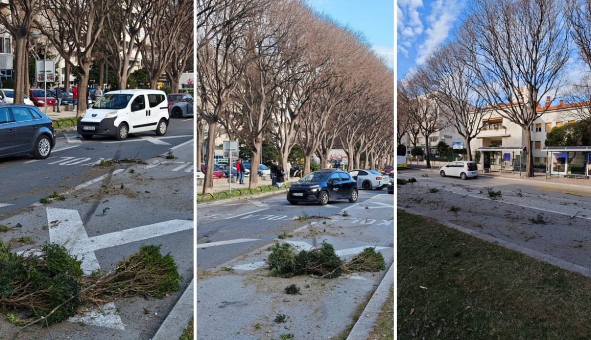 FOTO Tip s BMW-om u Poljičkoj preletio iz suprotnog kolnika i pomeo zelenilo, službe na terenu