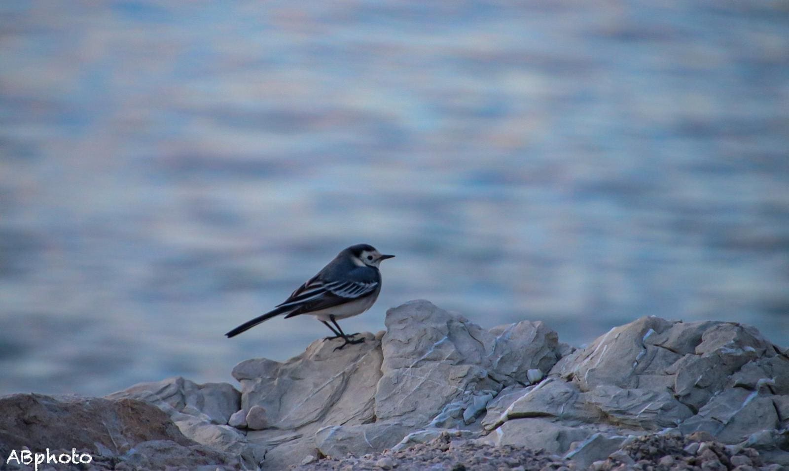 bura podstrana antonio bradaric 11