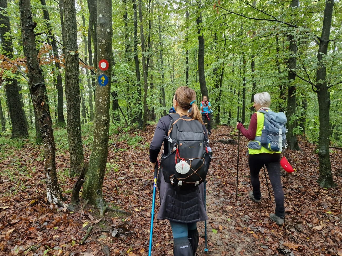 Camino Podravina osvojila prestižnu nagradu "Zlatni Suncokret" za ruralni turizam