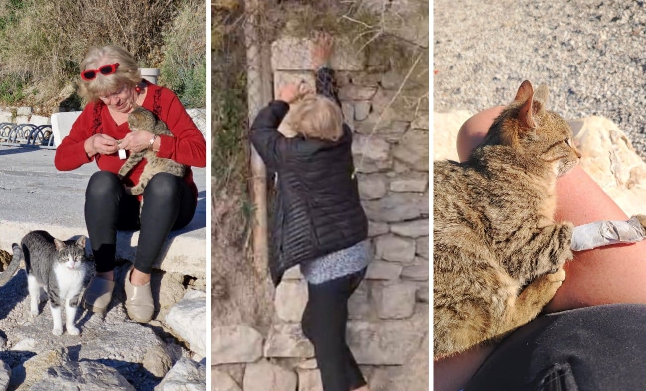 UPOZNAJTE SPLITSKU SUPER HEROINU Umirovljena liječnica snimljena dok spašava malu macu: "Odmah sam joj bandažirala nogu..."