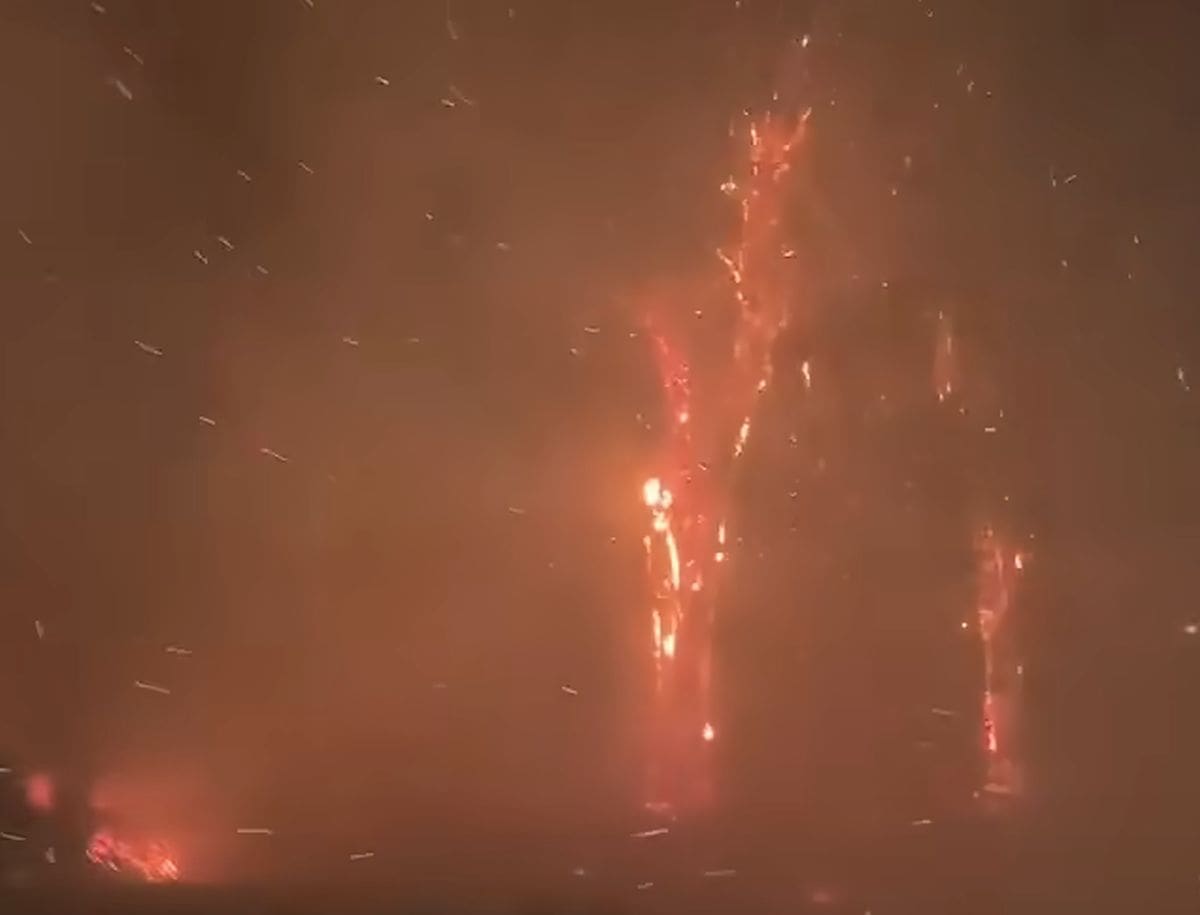 Petero mrtvih u Kaliforniji, požari i dalje haraju