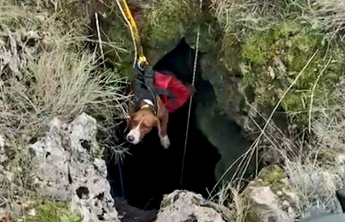 Pas na Hvaru upao u rupu duboku 20 metara. Spasili ga vatrogasci