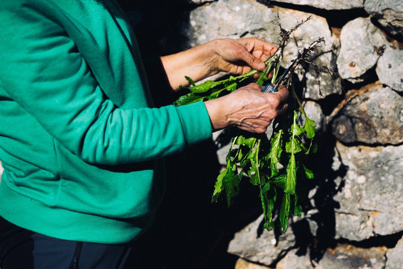 pecatbilje lel 005 171224