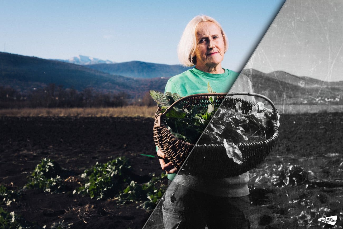PEČAT OD VRIMENA Mladenka Puljiz iz Runovića, čuvarica tradicijskog znanja o jestivom samoniklom bilju: Ove biljke nisu samo hrana, nego i lijek
