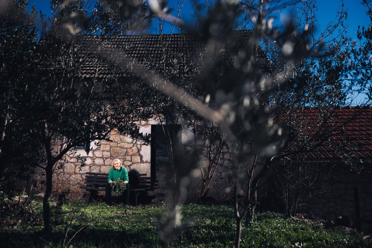 pecatbilje sab 017 171224