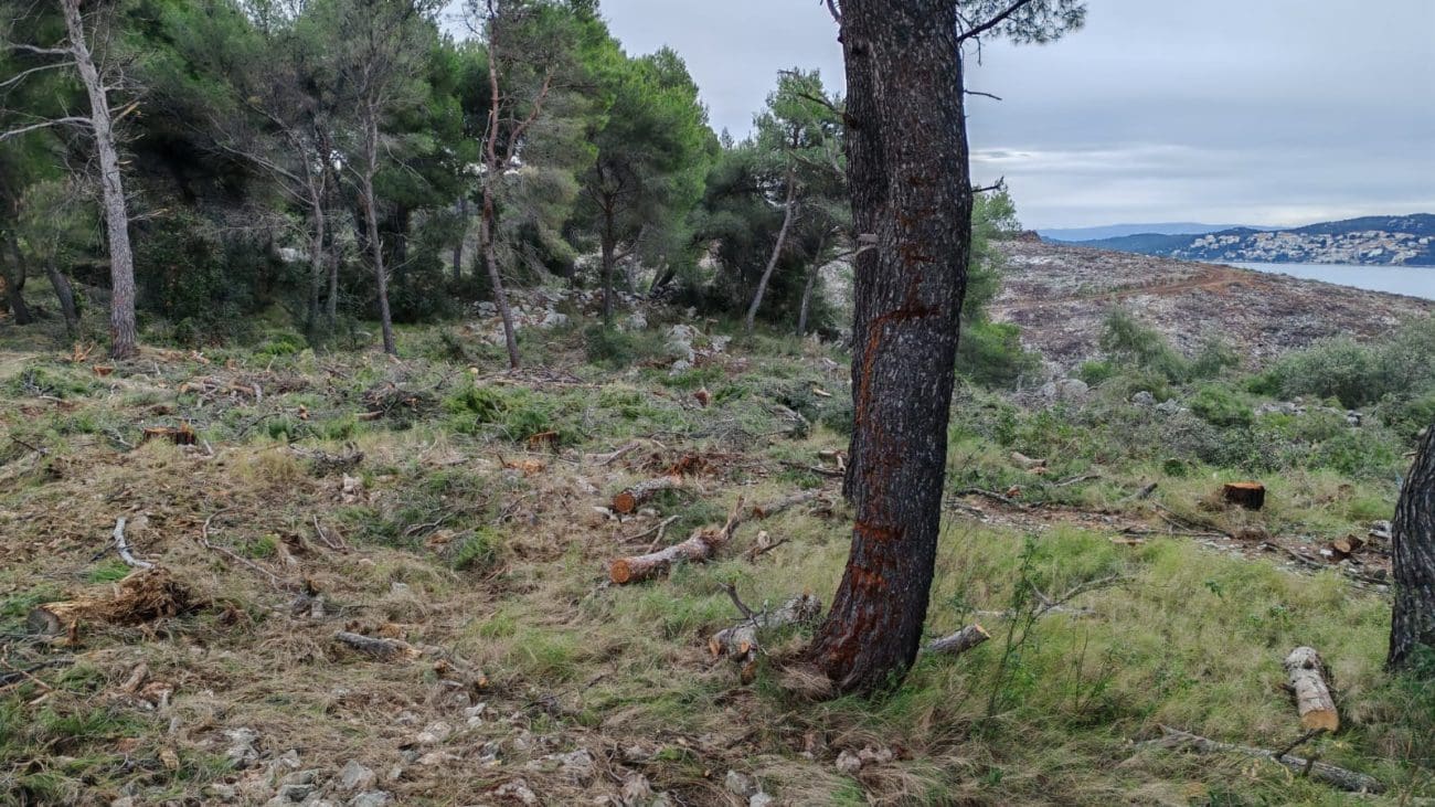 NL - Vrime je!: "Posječen dio državne šume u Općini Seget zbog pogleda na more"