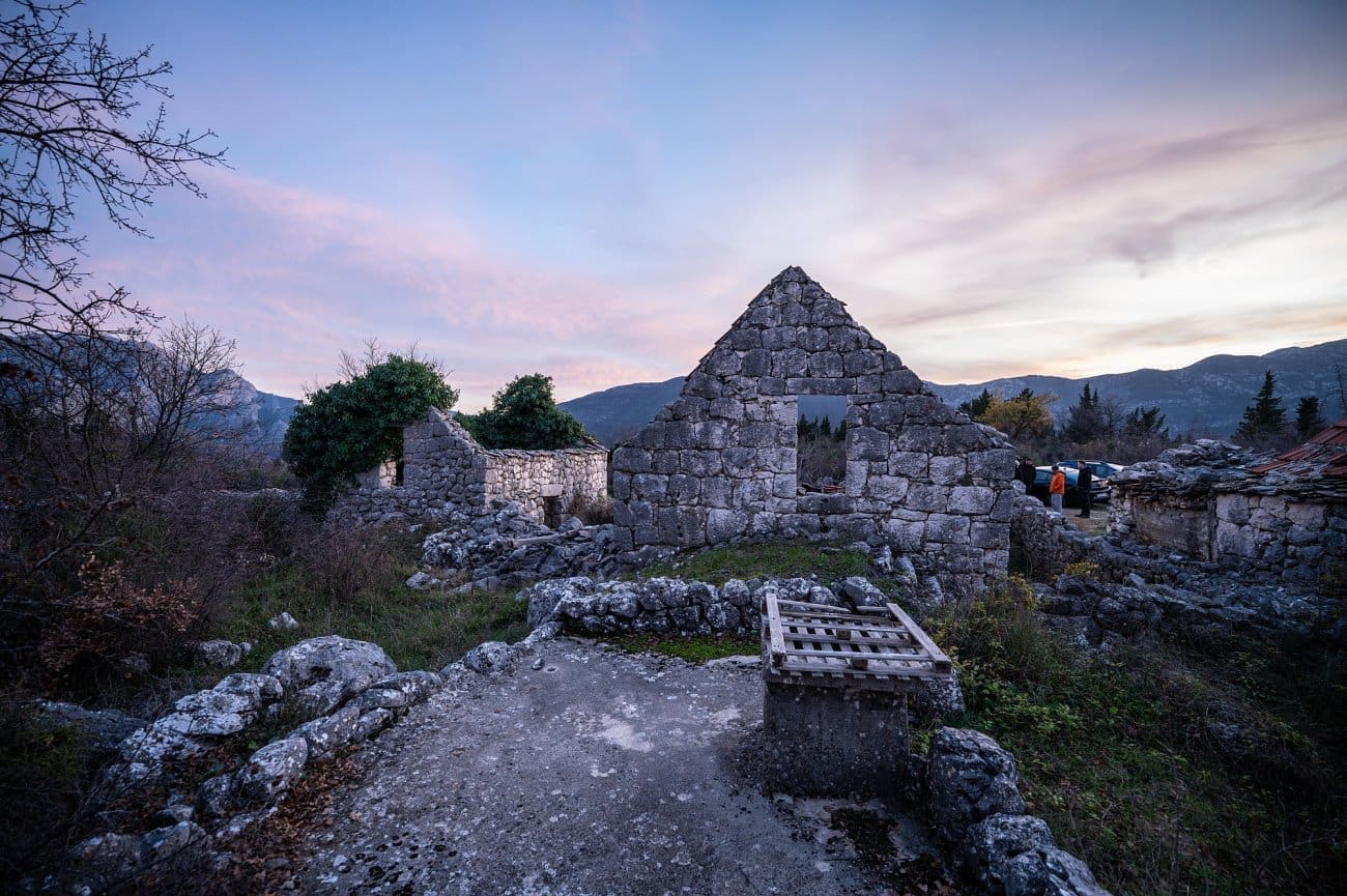 prasuma scadin znanstvenici 12