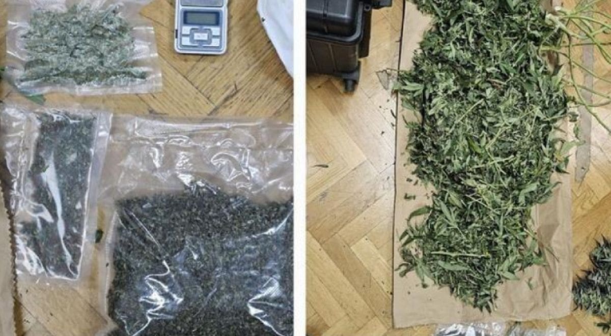 Policija uletjela na imanje kod Omiša, imali su što za vidjeti: ‘Ma ja sam to vidio u medijima...‘