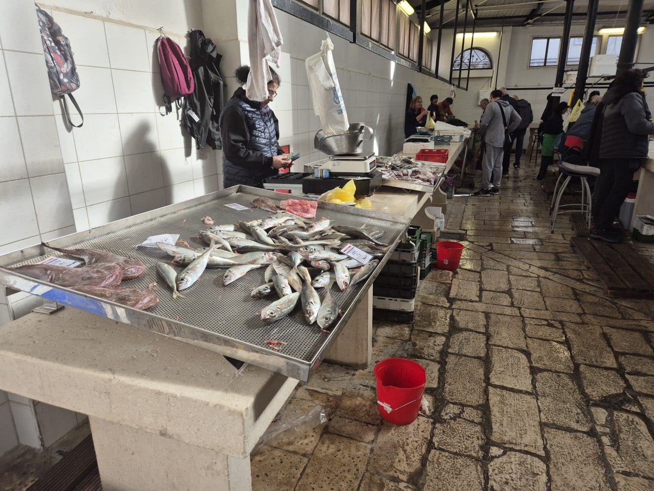 peskarija subota djir foto kate 1