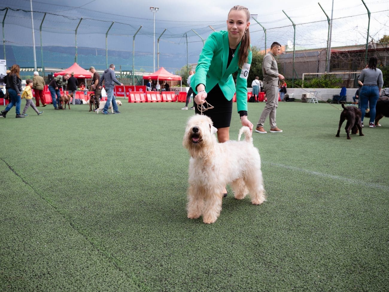 CAC Love I Perkovic 4