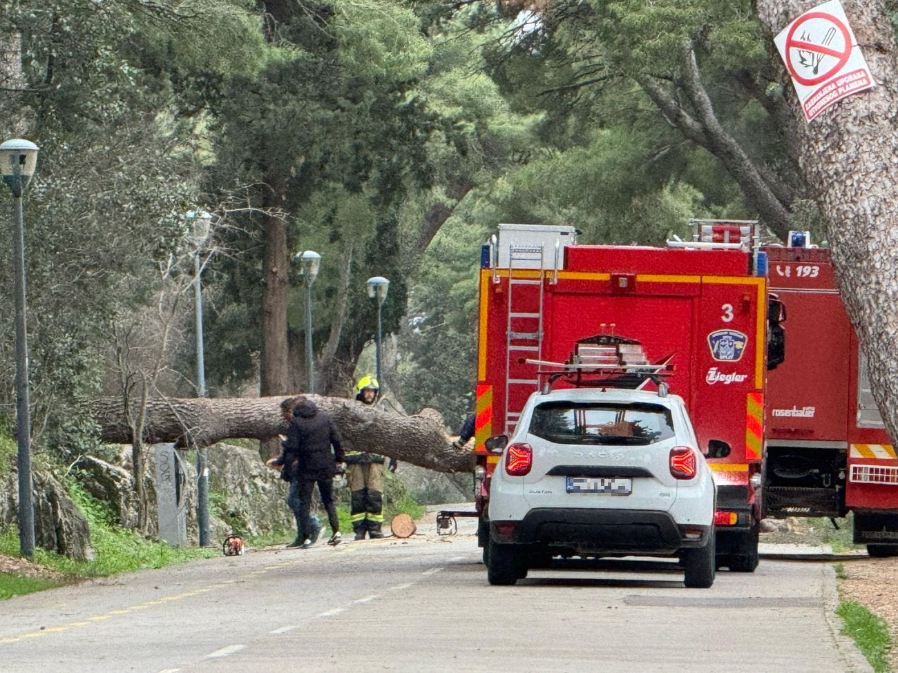 Palo stablo na marjanskoj šetnici, stigli vatrogasci