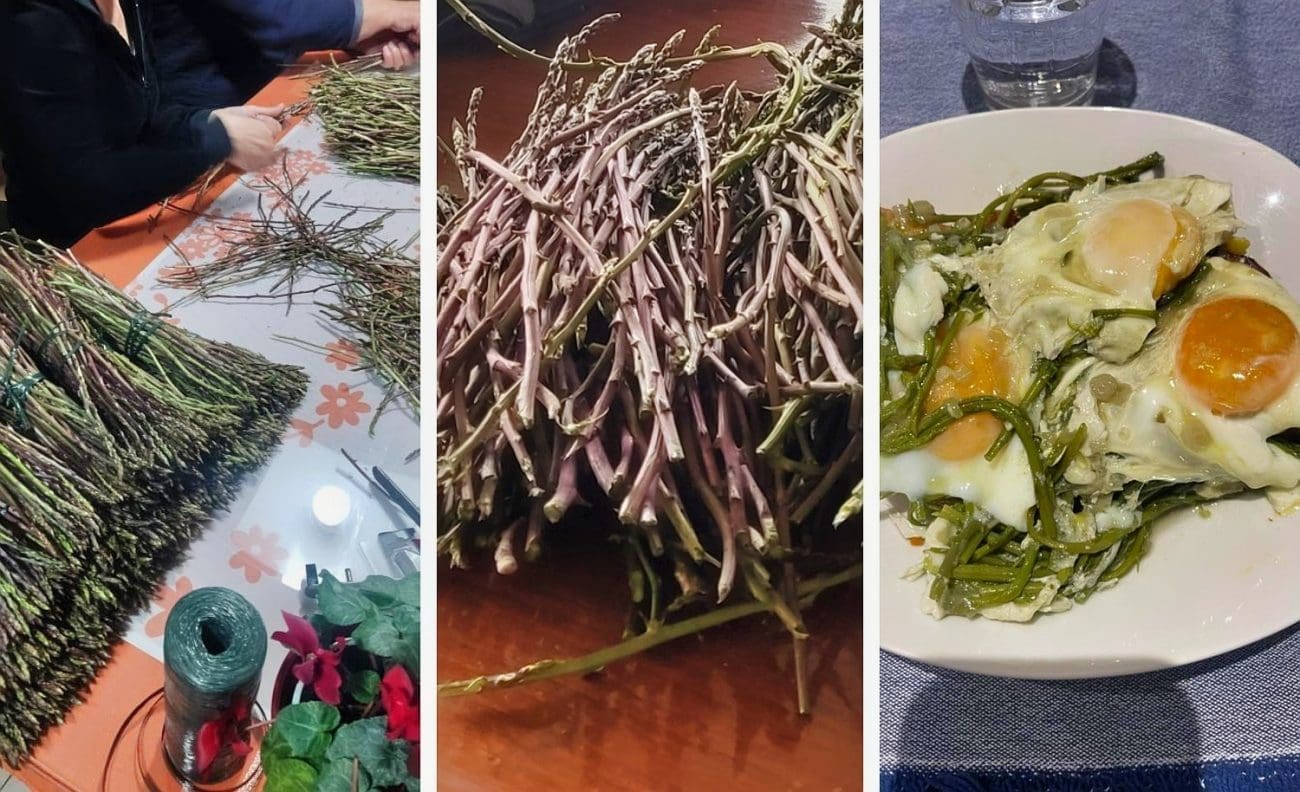 Šparoge su vitaminska bomba zdravlja, a postaju i cjenovna bomba: Evo koliko ćete platiti mac na splitskom Pazaru