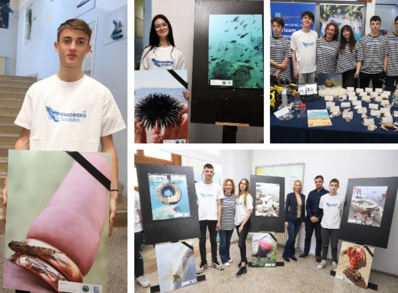 Otvorena izložba "Vrisak mora", Pomorska škola dobila školski mikroskop