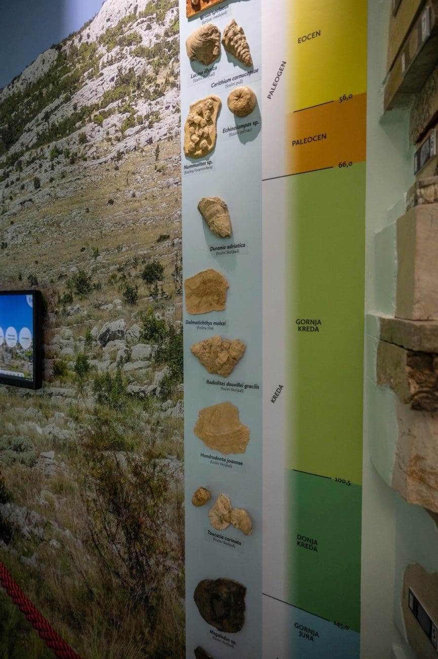 prirodoslovni muzej metkovic 2