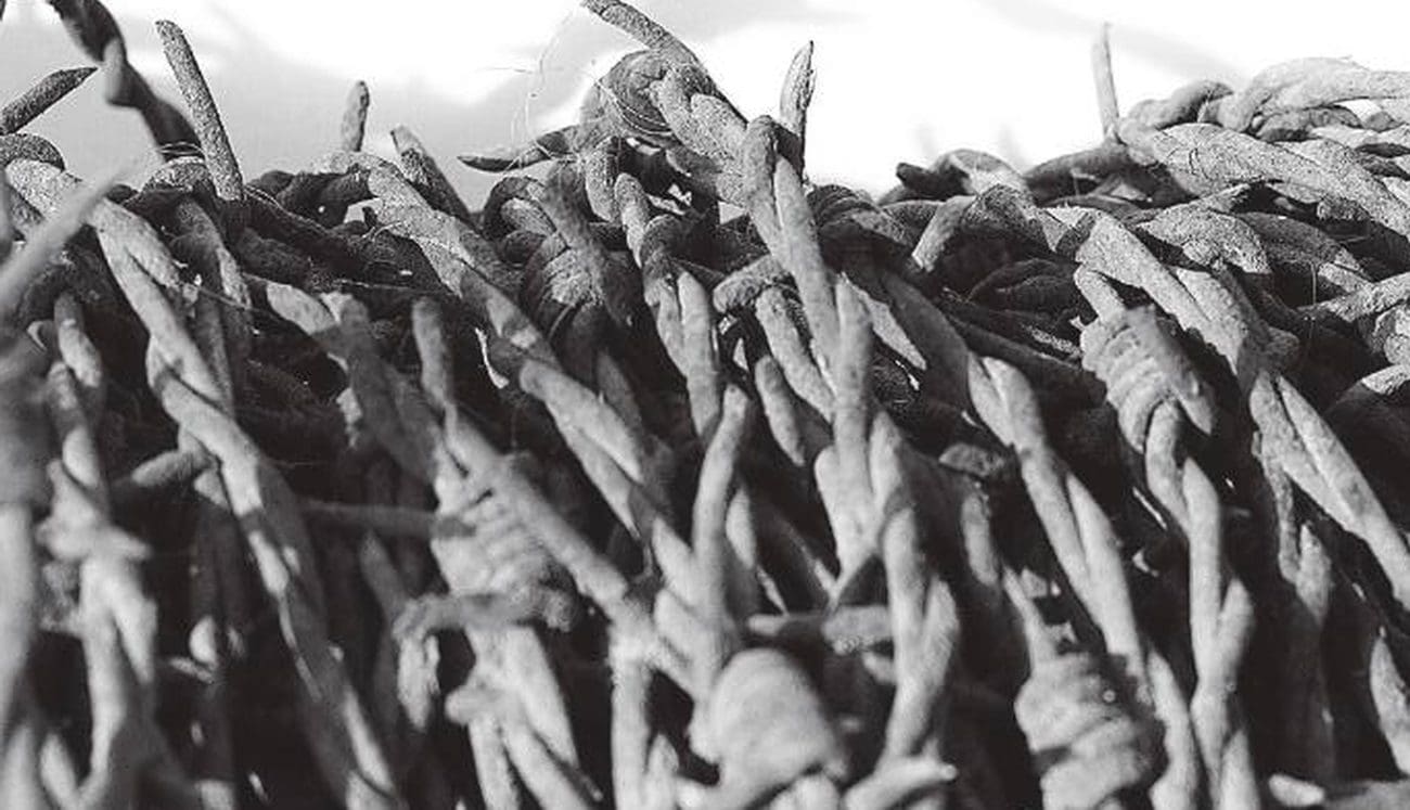 Tribina u Ližnjanu: "Živi i mrtvi u logorima smrti" – sjećanje na 80 godina od završetka II. svjetskog rata