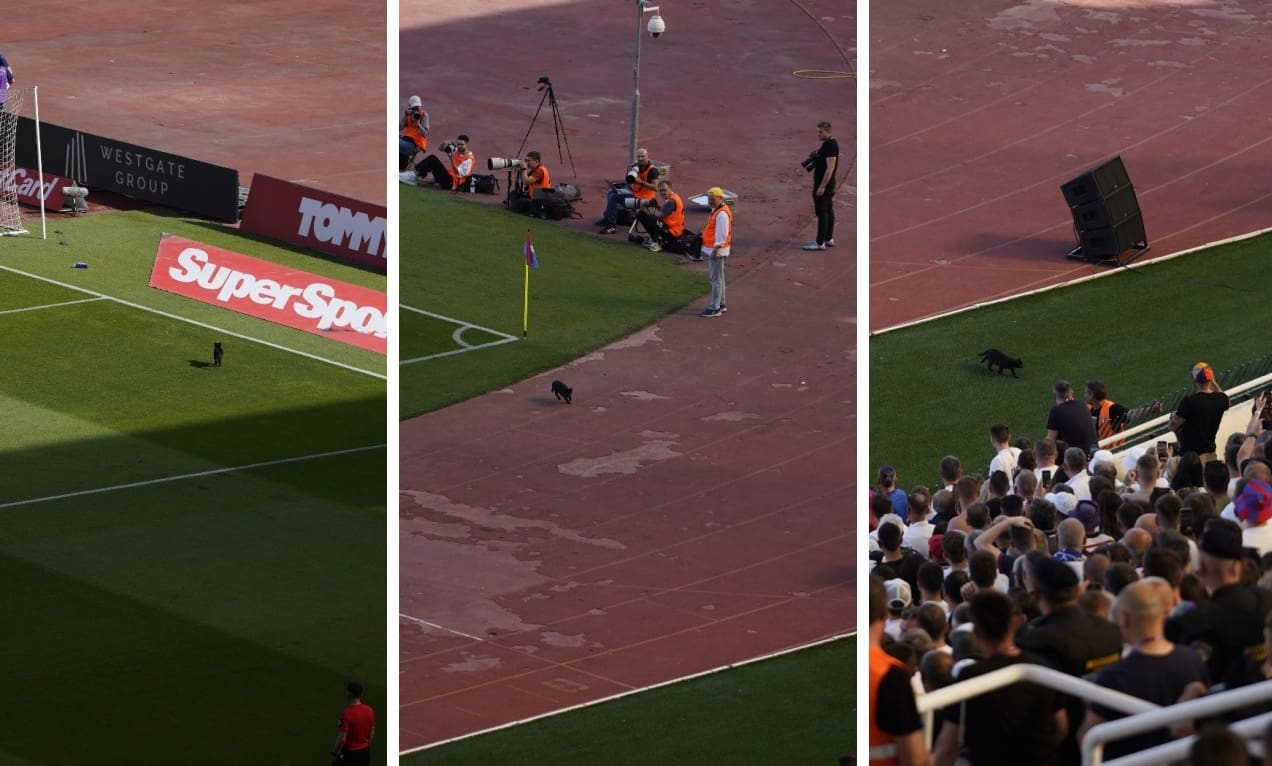 FOTO Crna mačka ušetala na Poljud u 44. minuti