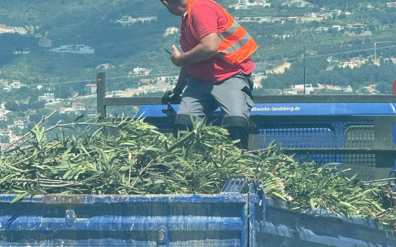 OPREZNO NA MEJAŠIMA Šišaju se oleandri, nastaju ogromne gužve