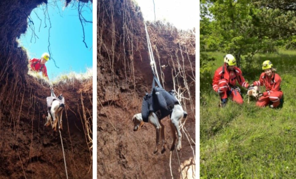 Pas upao u jamu, pogledajte kako su ga HGSS-ovci izvukli