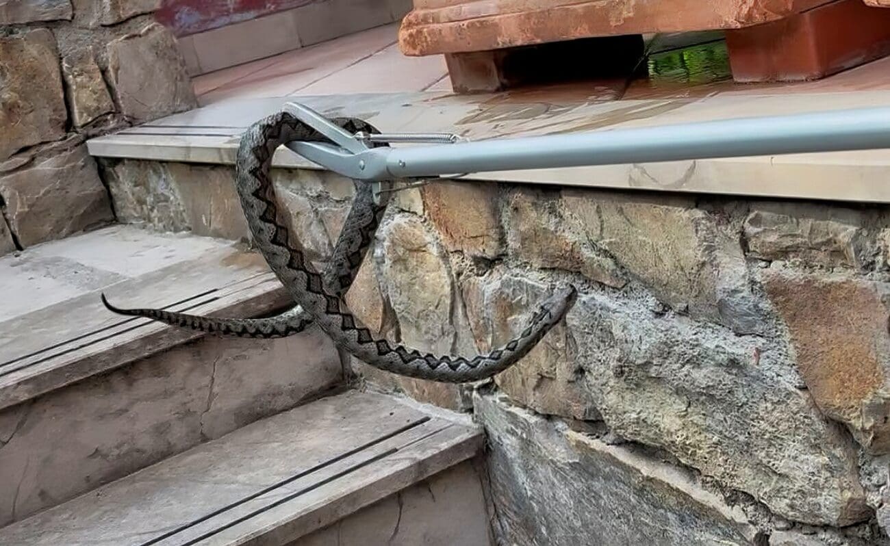 Vatrogasci u Žrnovnici su imali posla: "Ozbiljni gost"