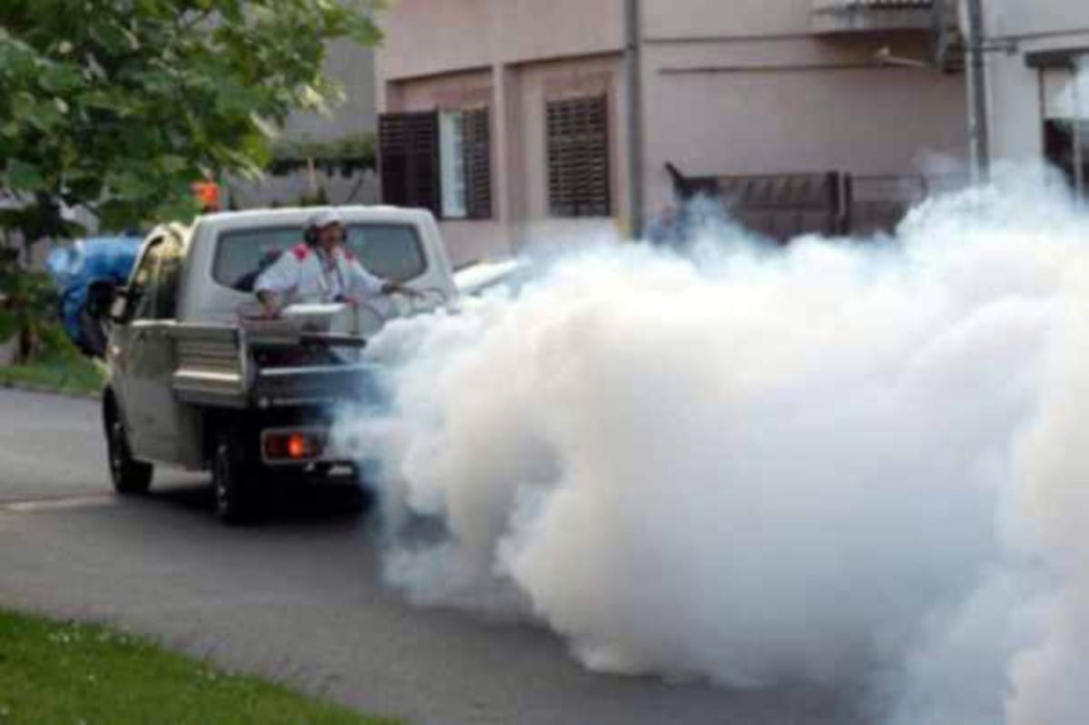 Kreće borba protiv tigrastog komarca u Kaštelima: Ovo su važne upute za građane!