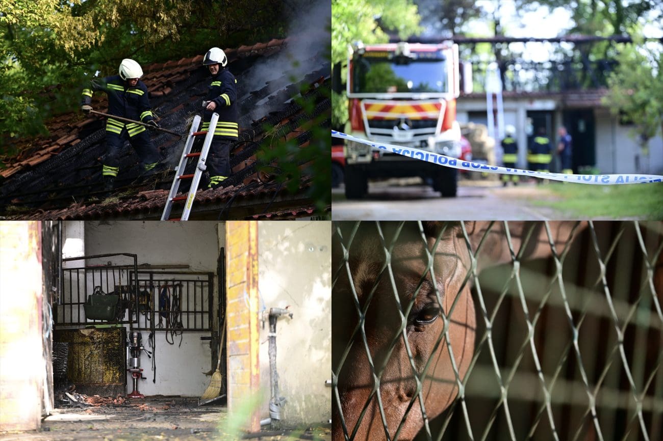 FOTOGALERIJA Obišli smo zgarište na hipodromu u Sinju: Urušena štala, iz plamena spašeno 20 konja!