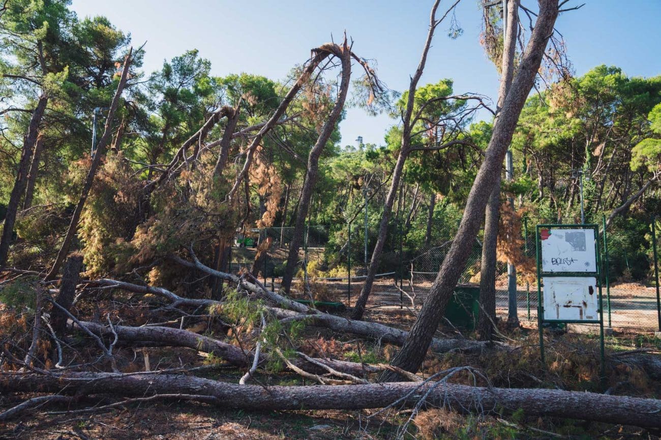 Od subote se otvara sjeverna strana Marjana. Grad Split je objavio zabrinjavajuće vijesti