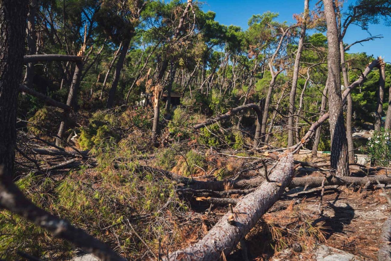 Sanacija posljedica nevremena na Marjanu: radovi počinju po okončanju žalbenog postupka