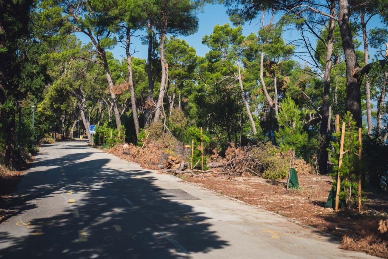 Društvo Marjan: "Ipak kreće sanacija Marjana"
