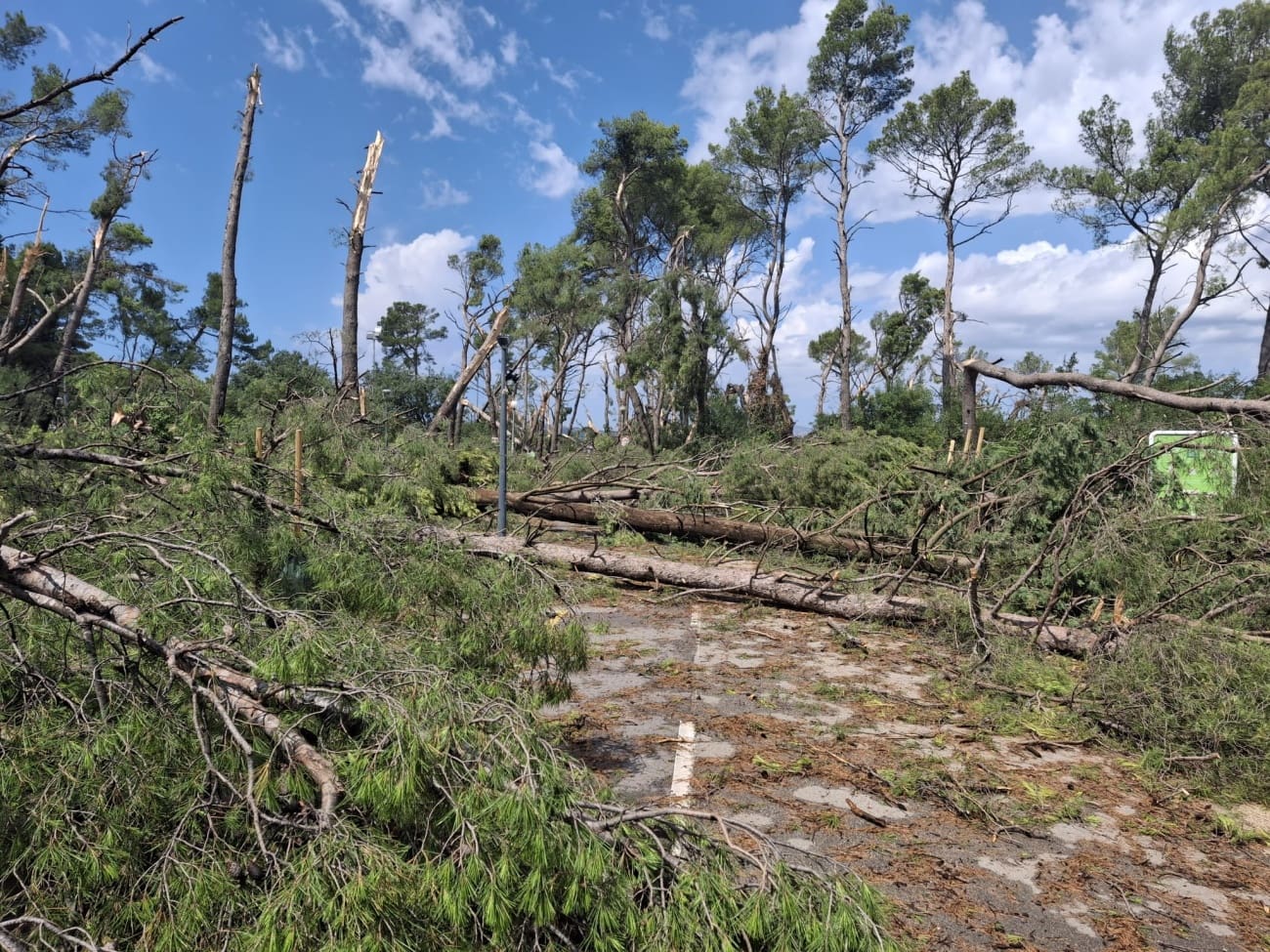 Šteta na Marjanu je nemjerljiva: "U 15 minuta je uništeno 100 godina rasta"
