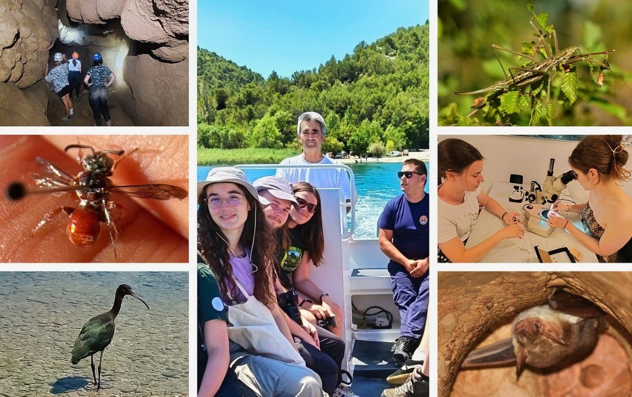 U proteklih sedam dana u NP "Krka" uočeno preko dvadeset i pet novih vrsta