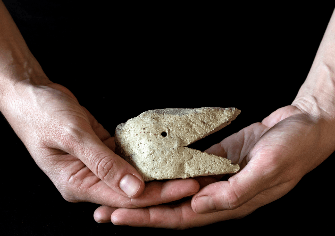 U Galeriji umjetnina otvara se izložba Petra Vranjkovića: „source–archive B/FA–A(SA/EMS)“