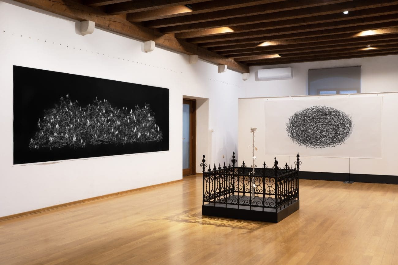 U utorak u Makarskoj otvara se izložba "Hortus conclusus" splitske umjetnice Ivone Pupačić