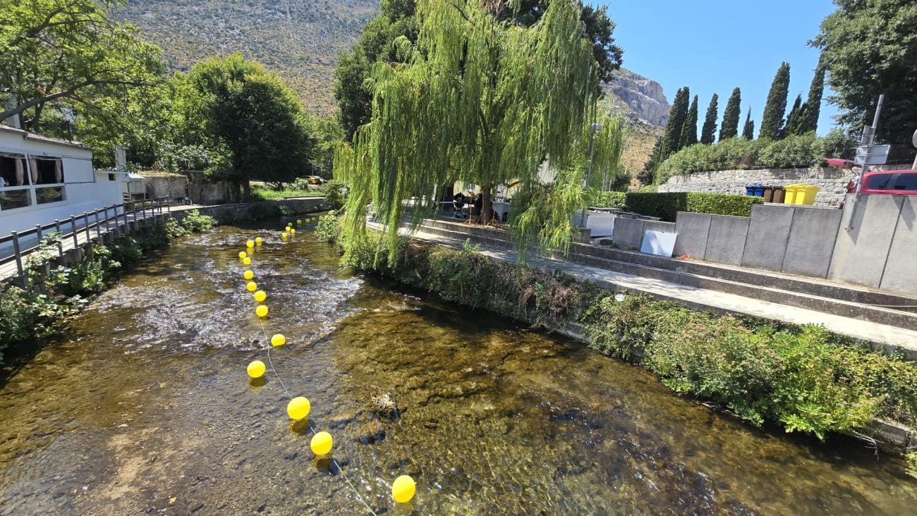 festaopure danzrnovnica 01